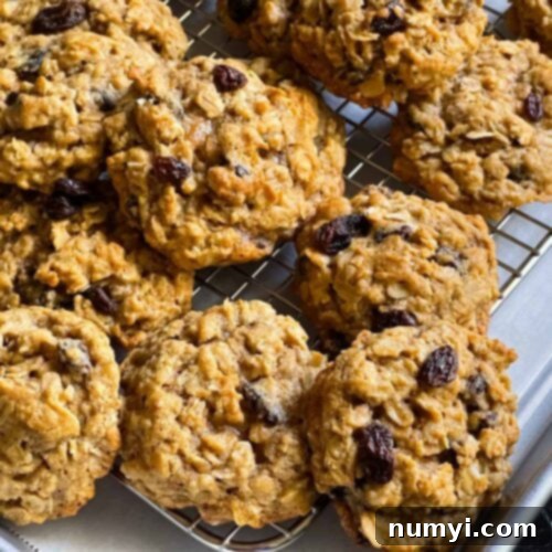 Baked old fashioned oatmeal raisin cookies on a wire cooling rack, perfectly golden and inviting.