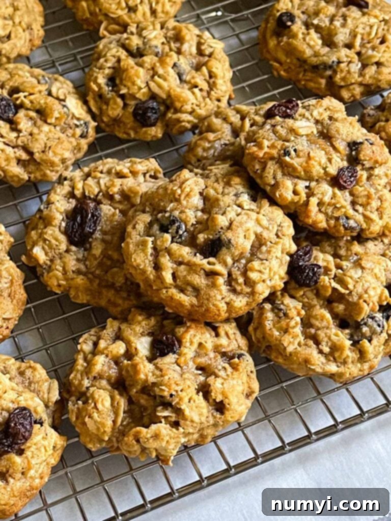 Freshly baked old fashioned oatmeal raisin cookies cooling on a wire rack, ready to be enjoyed.
