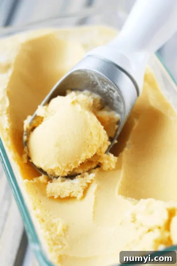 overhead closeup: mango frozen yogurt in freezer-safe container with a scoop in ice cream scoop