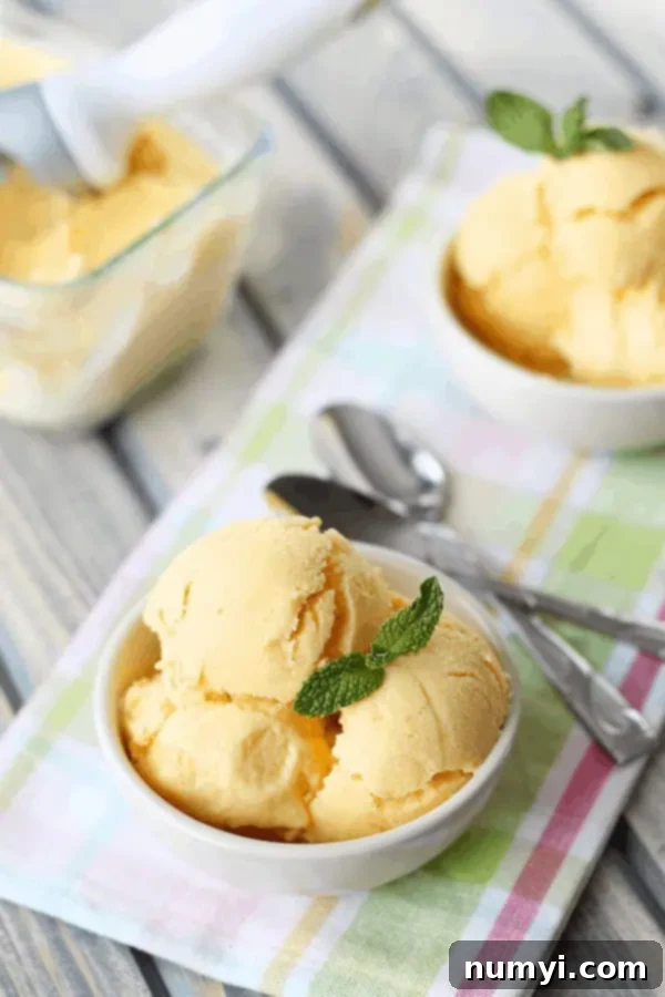 closeup: mango and yogurt ice cream in circular white dish, topped with a sprig of fresh mint