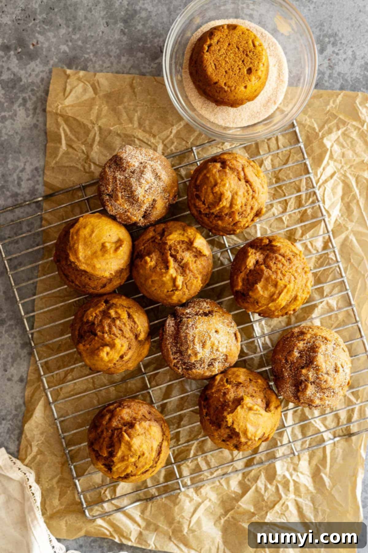 Overhead view of several pumpkin muffins on a cooling rack, some dusted with cinnamon sugar, highlighting their inviting presentation.