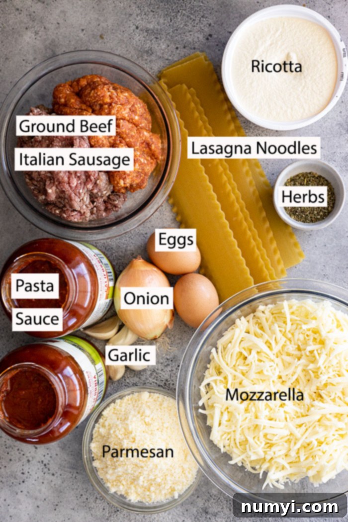 Ingredients for lasagna: Ricotta, ground beef, Italian sausage, pasta sauce, eggs, onion, garlic, lasagna noodles, herbs, parmesan, mozzarella.