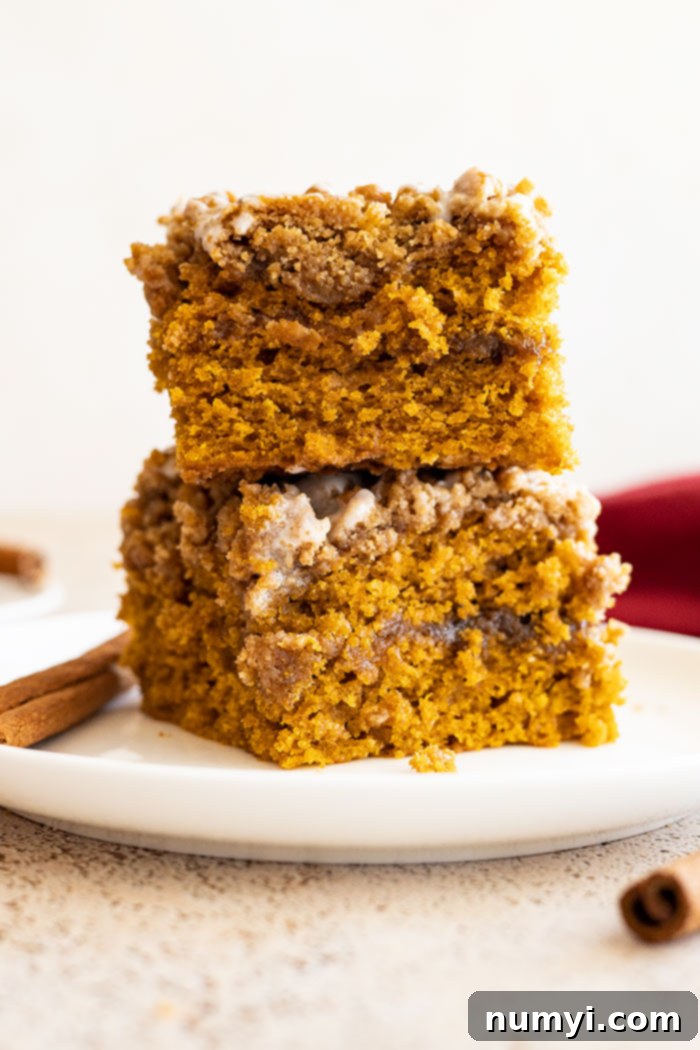 Two slices of pumpkin coffee cake stacked on top of each other, showcasing the layers.