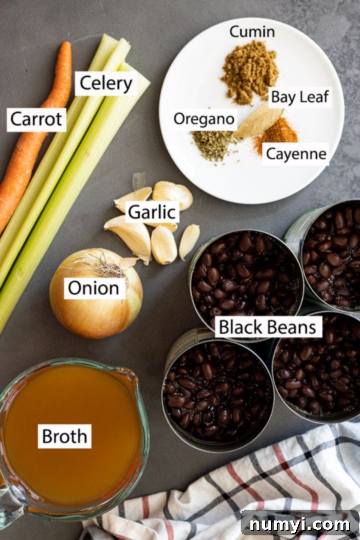 Hearty Black Bean Soup 3 Ingredients for this soup: black beans, carrot, celery, onion, garlic, broth, seasonings.