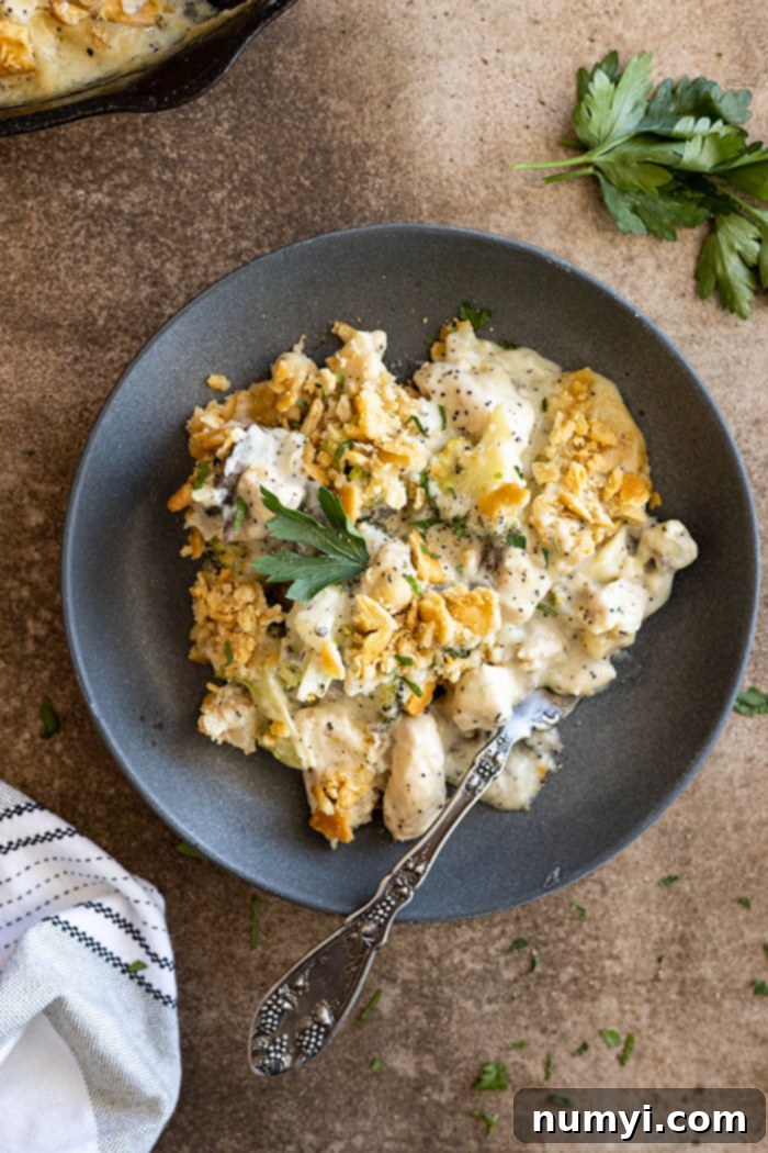 Overhead view of poppy seed chicken casserole on a dark blue plate with a fork. Garnished with fresh parsley and black pepper.