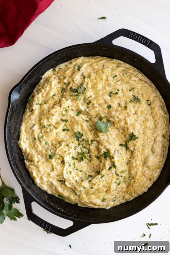 Overhead view of parmesan orzo in a large black skillet. Garnished with fresh parsley and black pepper.