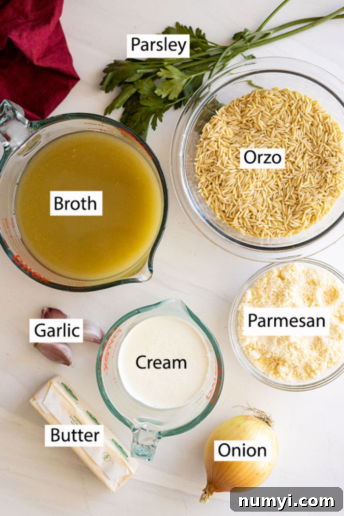 Ingredients for parmesan orzo: orzo pasta, broth, cream, garlic, butter, onion, and parmesan.