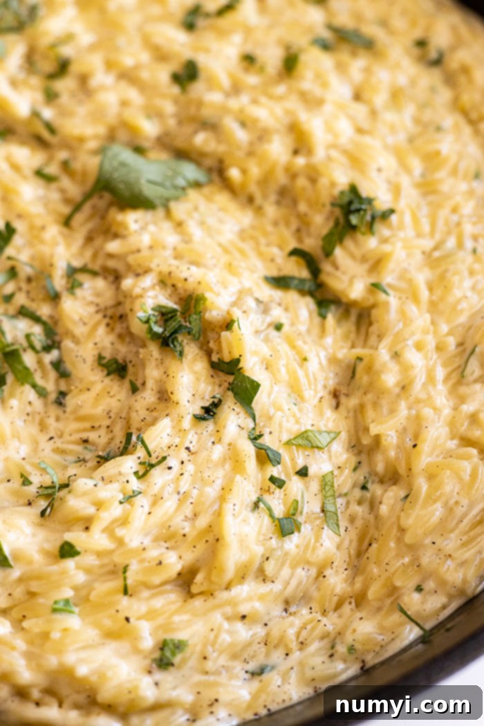 Close up of this creamy pasta dish. 