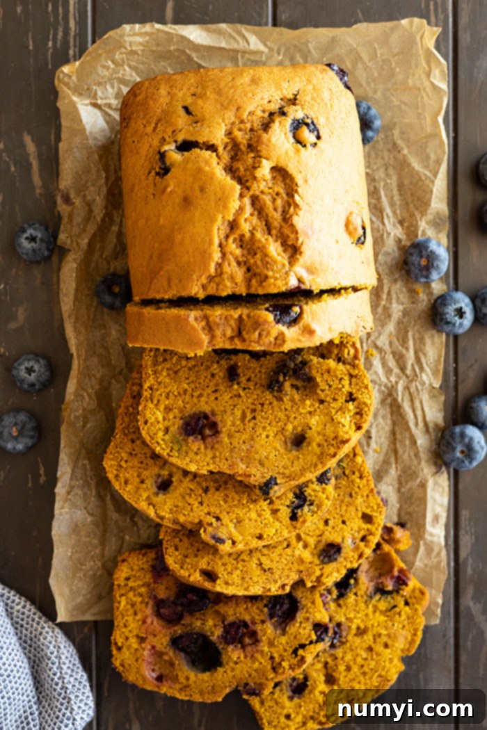 Warm Spiced Pumpkin Blueberry Loaf 5 Overhead view of several slices of homemade pumpkin blueberry bread neatly arranged, with fresh blueberries scattered around. The texture shows moistness and the visible blueberries within the bread.