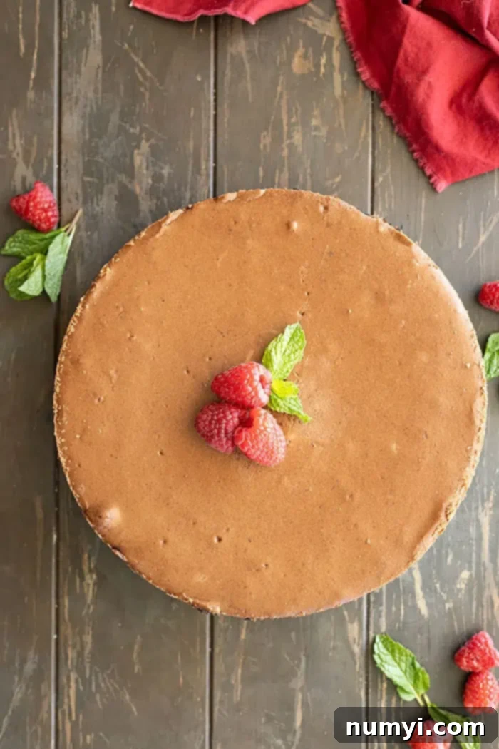 overhead: chocolate cheesecake with 3 raspberries and mint leaves in the center