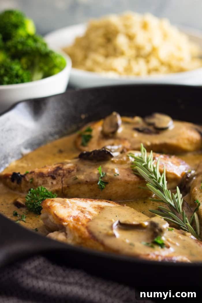 chicken in mushroom cream sauce with fresh rosemary in black skillet