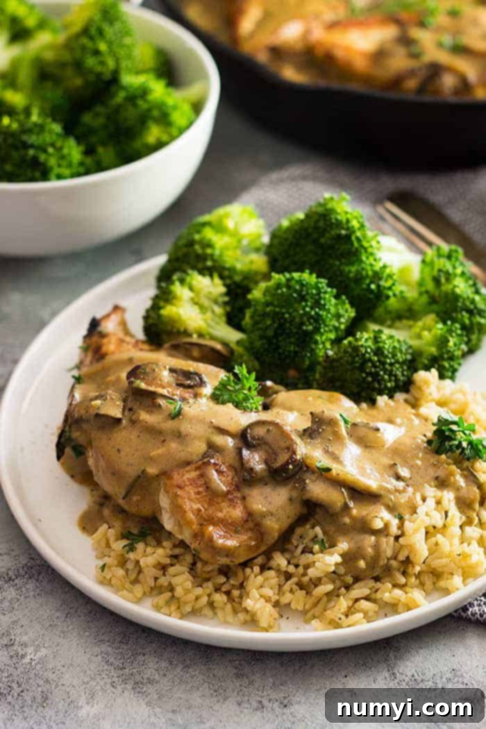 White plate with broccoli, rice, chicken, and a mushroom cream sauce drizzled on top
