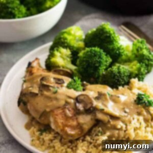 White plate with broccoli, rice, chicken, and a mushroom cream sauce drizzled on top