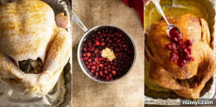 Three pictures showing how to make the turkey: brush bird with oil and salt and pepper, make cranberry sauce, brush roasted turkey with sauce. 