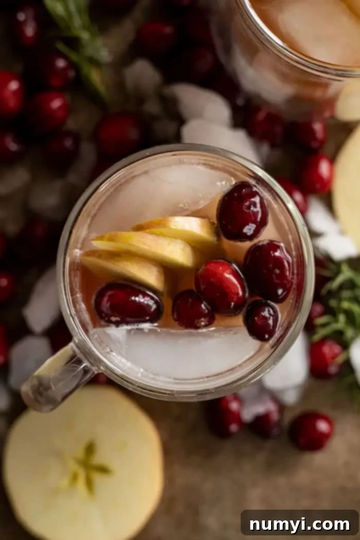 Overhead view of apple cranberry moscow mule in a mug decorated with apple slices and fresh cranberries.