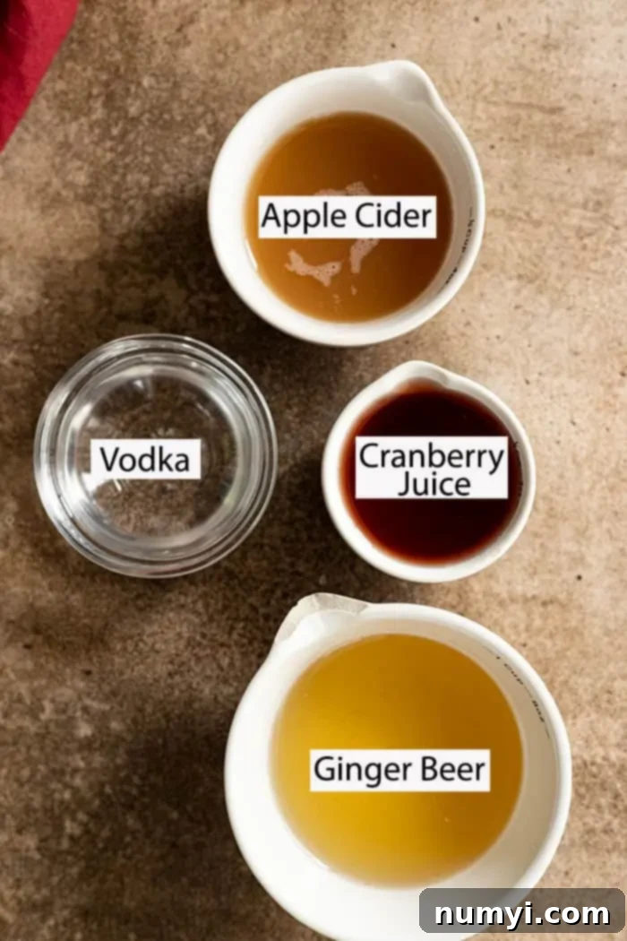 Ingredients: apple cider, vodka, cranberry juice, ginger beer. 