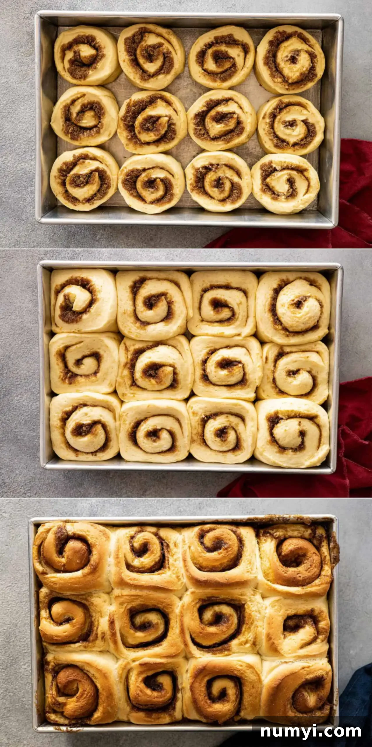 Zesty Orange Cinnamon Rolls 6 Three pictures showing the rising and baking of the rolls.