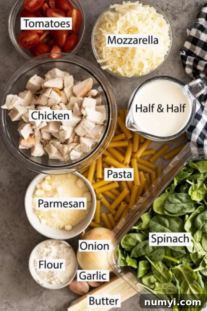 A vibrant display of fresh ingredients for Chicken Florentine Pasta Casserole: Cooked chicken cubes, bright cherry tomatoes, shredded mozzarella and Parmesan cheeses, rich half and half, uncooked short pasta, fresh spinach leaves, diced onion, minced garlic, all-purpose flour, and butter.