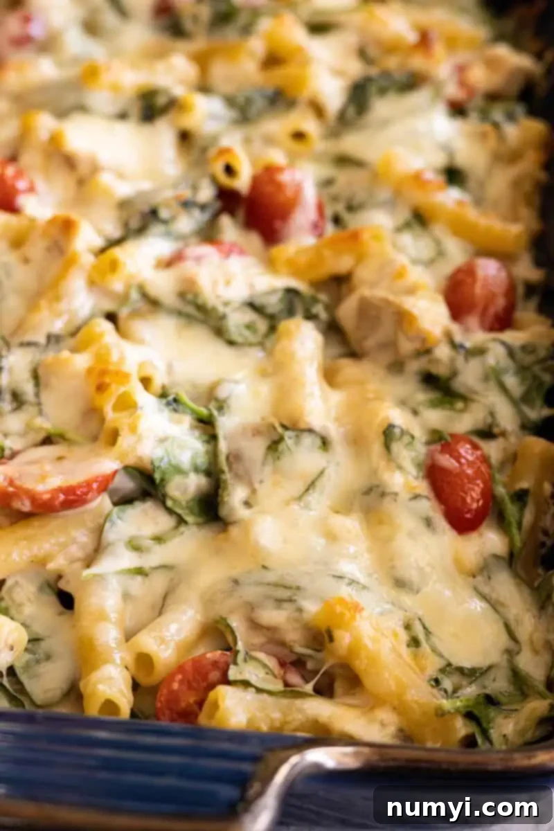 Close-up of a freshly baked Chicken Florentine Pasta Casserole, straight from the oven, showing the golden, bubbly cheese crust and the rich, creamy interior with visible pieces of chicken and spinach.