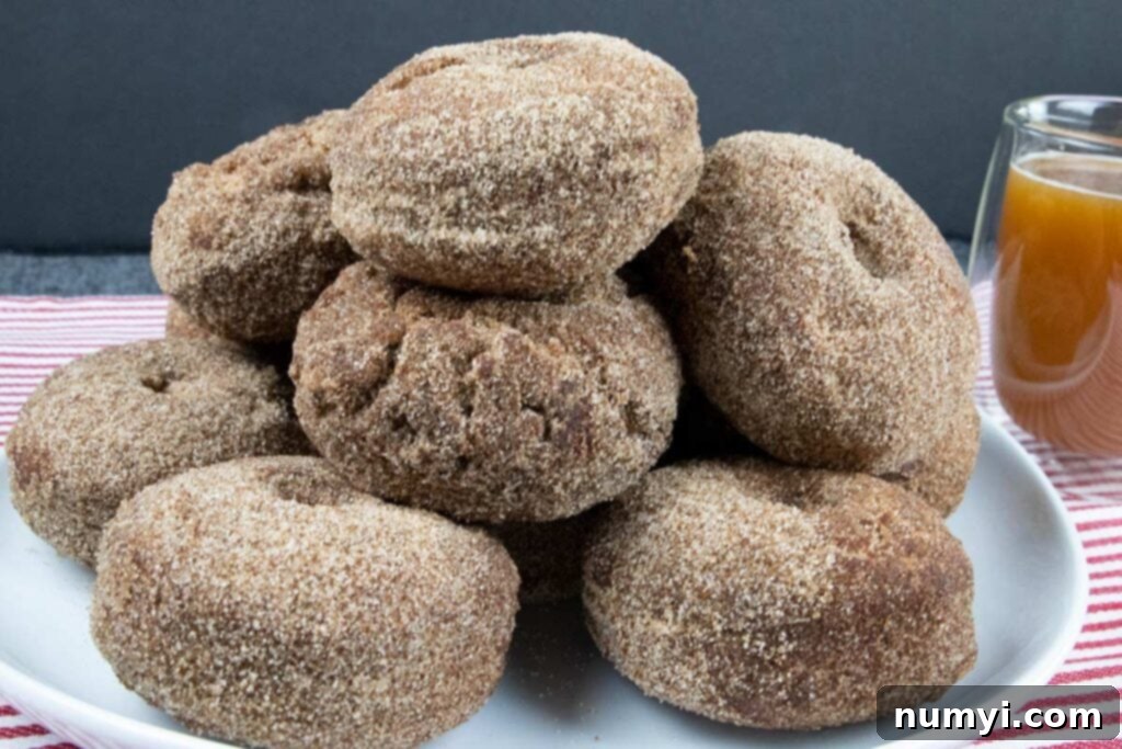 Apple cider donuts stacked on a white plate.
