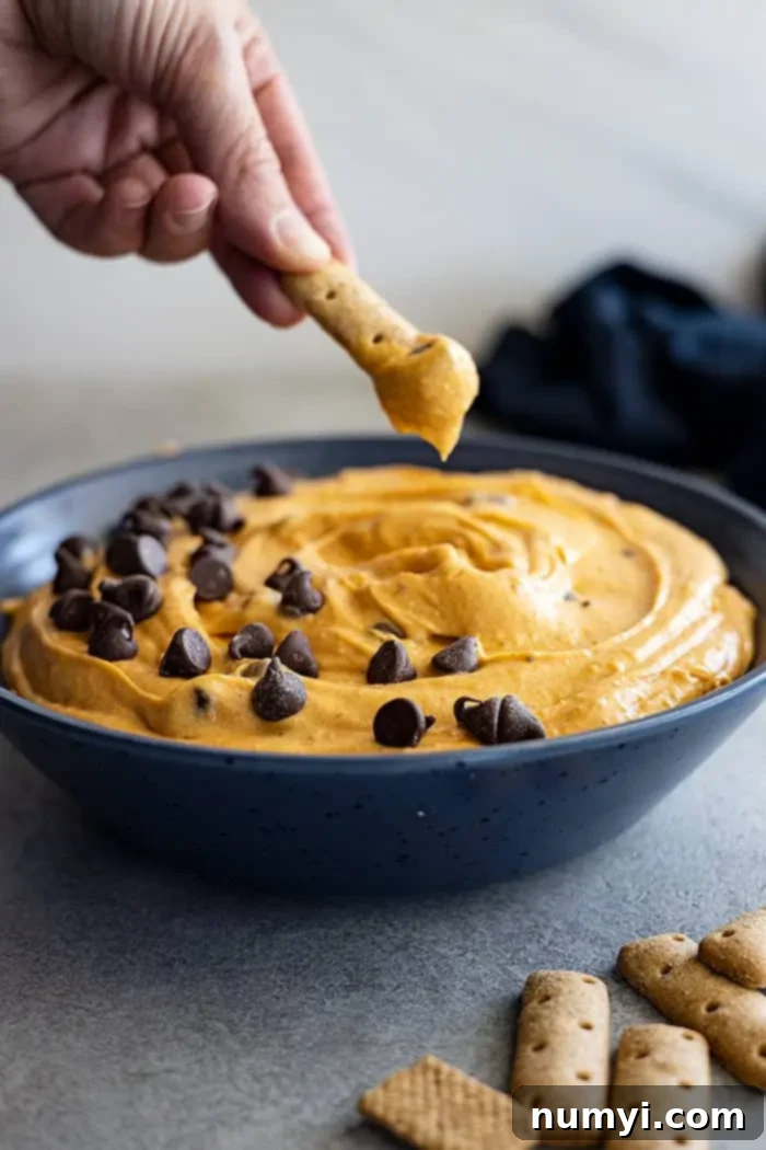 A hand holding a graham cracker stick dipping into the dip. 