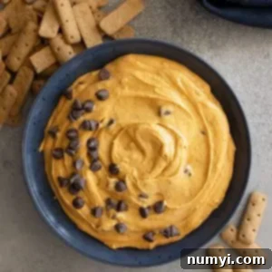 Overhead view of pumpkin dip garnished with extra chocolate chips and graham cracker sticks off to the side.
