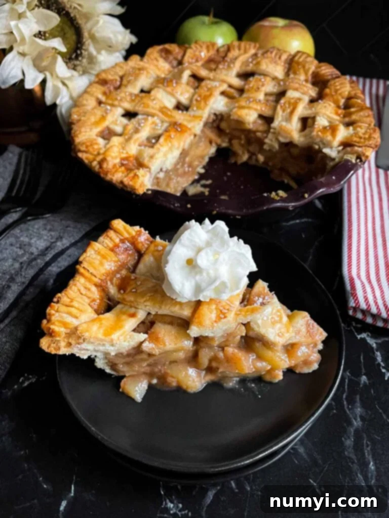 A delectable slice of apple pie, adorned with a swirl of whipped cream, presented on a dark plate against a dark surface.