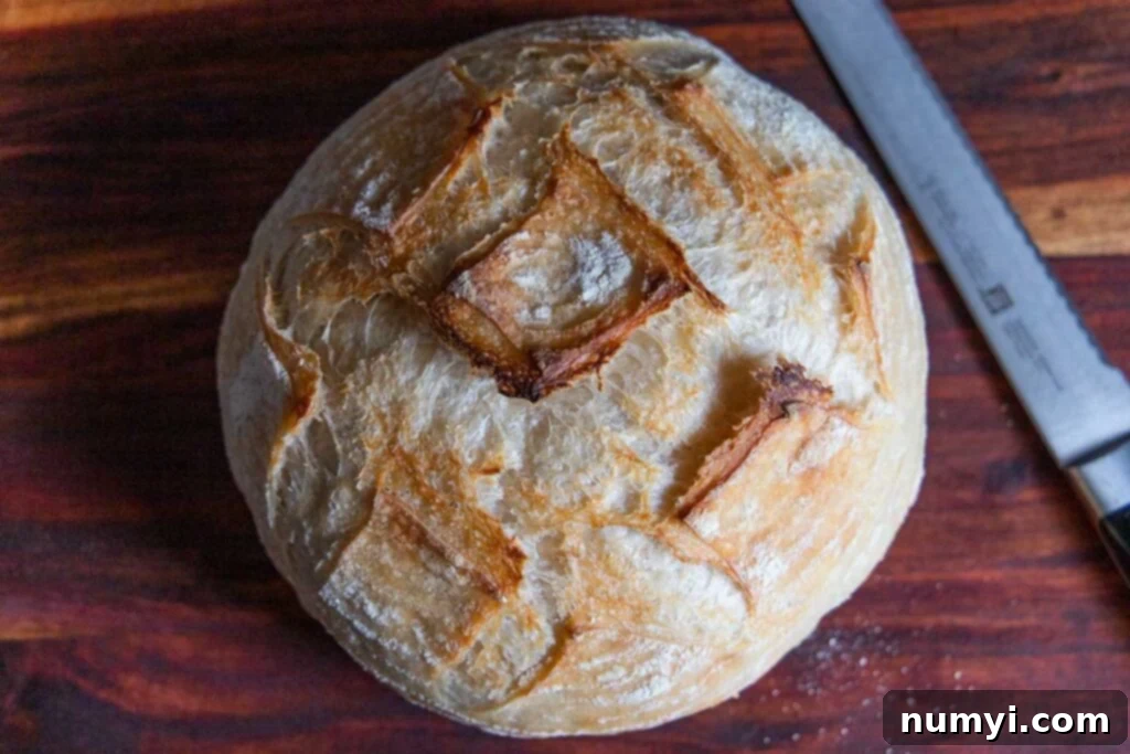 A beautifully round boule of sourdough bread resting on a wooden cutting board, alongside a specialized bread knife.
