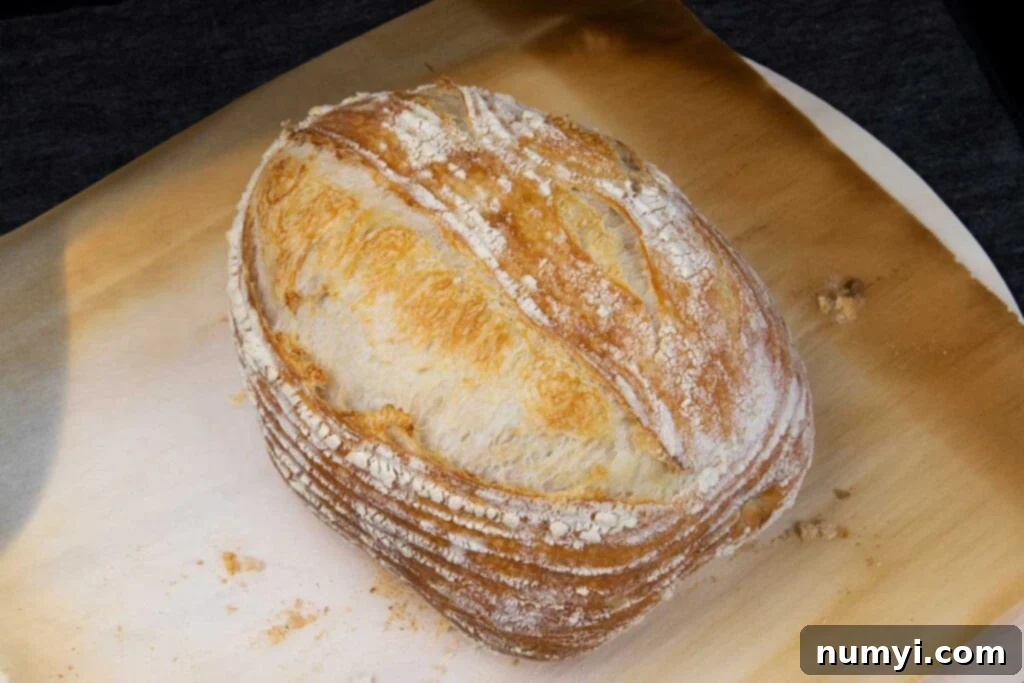 An elegantly shaped sourdough batard, ready to be sliced and enjoyed, on a rustic cutting board.