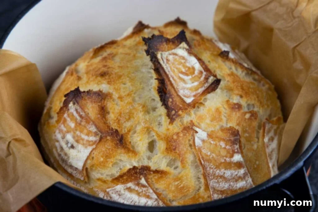 Beautifully baked sourdough bread nestled within a rustic dutch oven, showcasing its golden-brown crust.