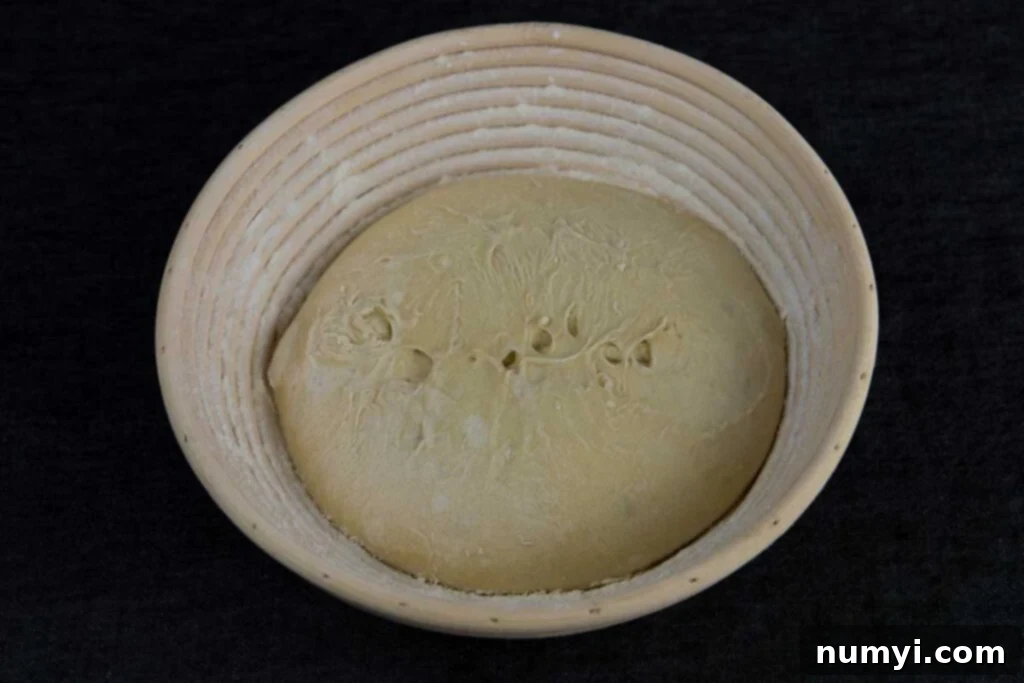 Uncooked sourdough dough perfectly proofing in a banneton basket, ready for baking.