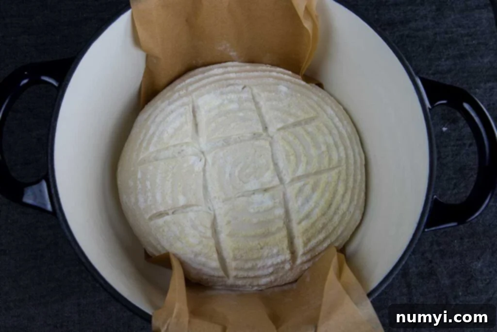 Expertly scored, uncooked sourdough dough ready to be placed in a hot Dutch oven for baking.