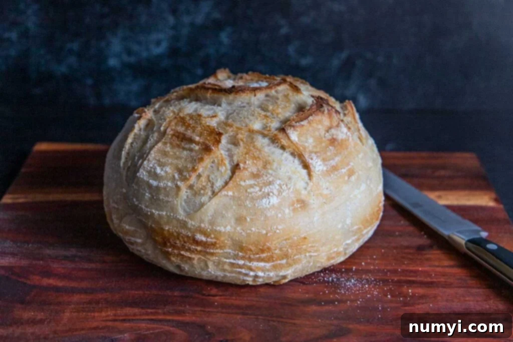 A freshly baked, rustic boule of sourdough bread positioned on a cutting board, accompanied by a sharp bread knife.