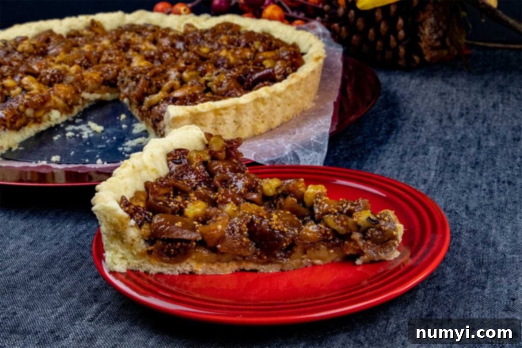 A beautifully presented slice of fig tart on a vibrant red plate, showcasing the rich filling and golden crust.
