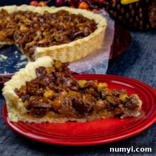 A slice of fig tart on red plate.