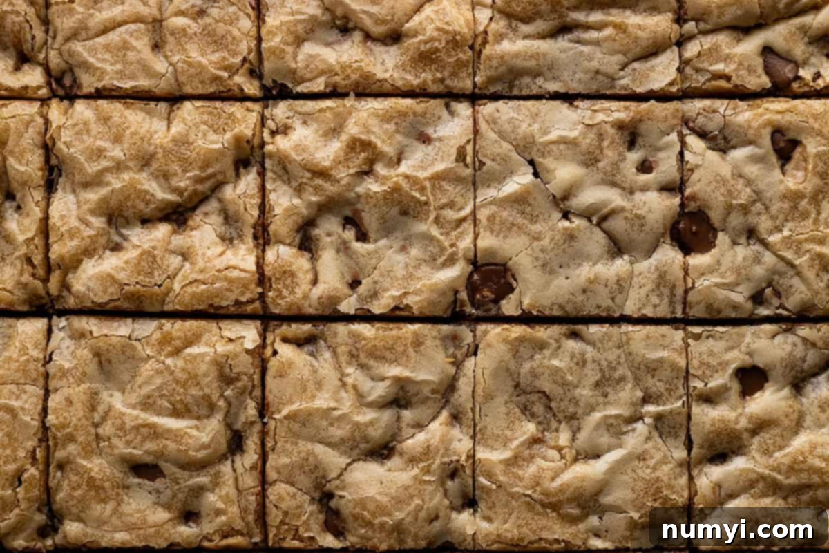 An overhead shot of chocolate chip cookie bars neatly cut into perfect squares, showcasing the gooey melted chocolate and tender crumb.