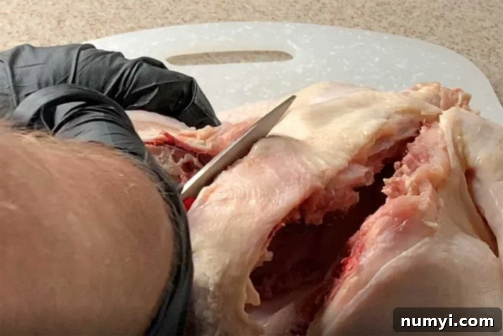 Demonstration of removing the backbone on a whole chicken using kitchen shears.