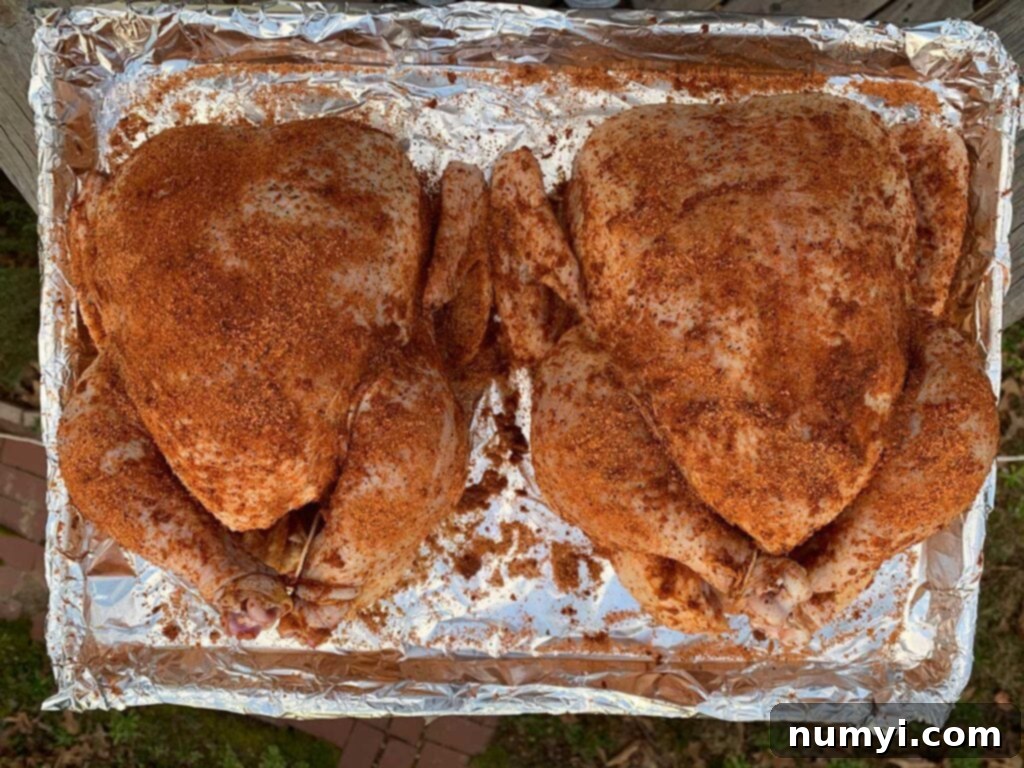 Two raw whole chickens with rub applied, dressed and ready for smoking.