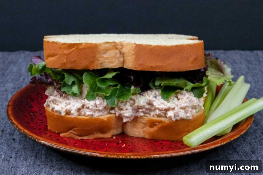 Signature Smoked Chicken Salad 3 Smoked chicken salad sandwich with celery as a garnish on a red plate.