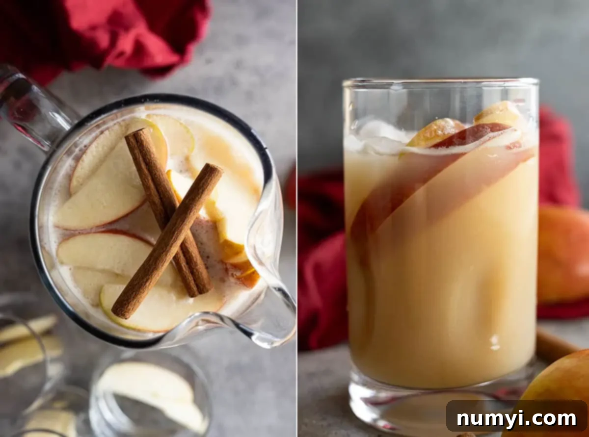 Two pictures: one an overhead view of the pitcher of sangria and the other a glass filled with sangria and both garnished with apple slices.