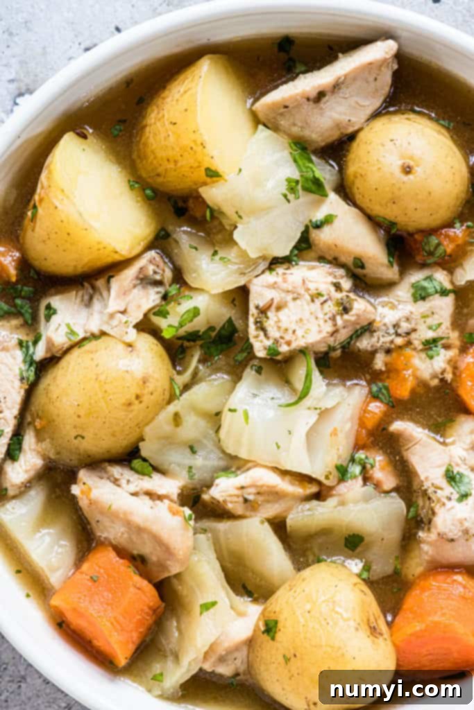 Dump and Start Instant Pot Irish Chicken Stew