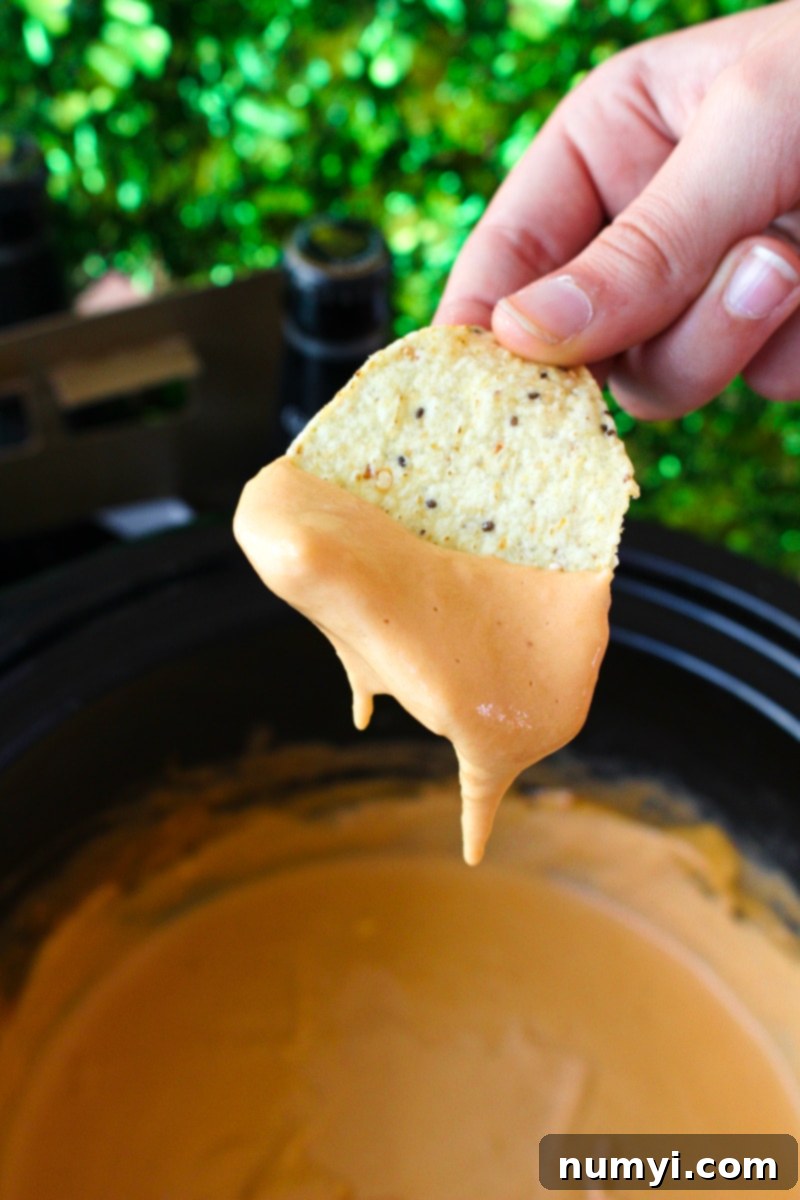 Slow Cooker Guinness Beer Cheese Dip