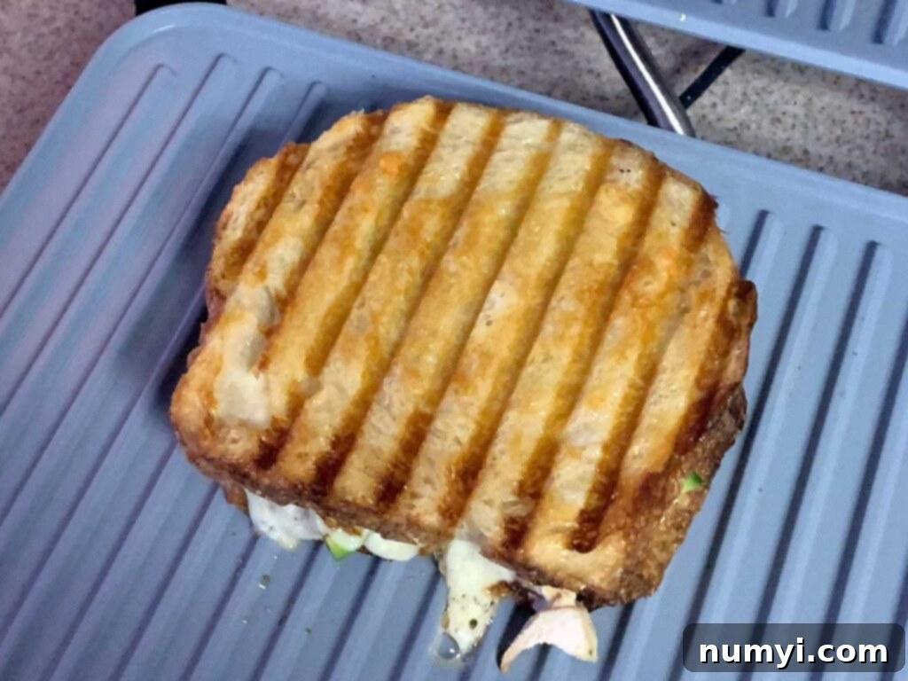 Smoked chicken sandwich in a panini