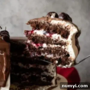 Slice of cake being taken out and ready to put on a plate.