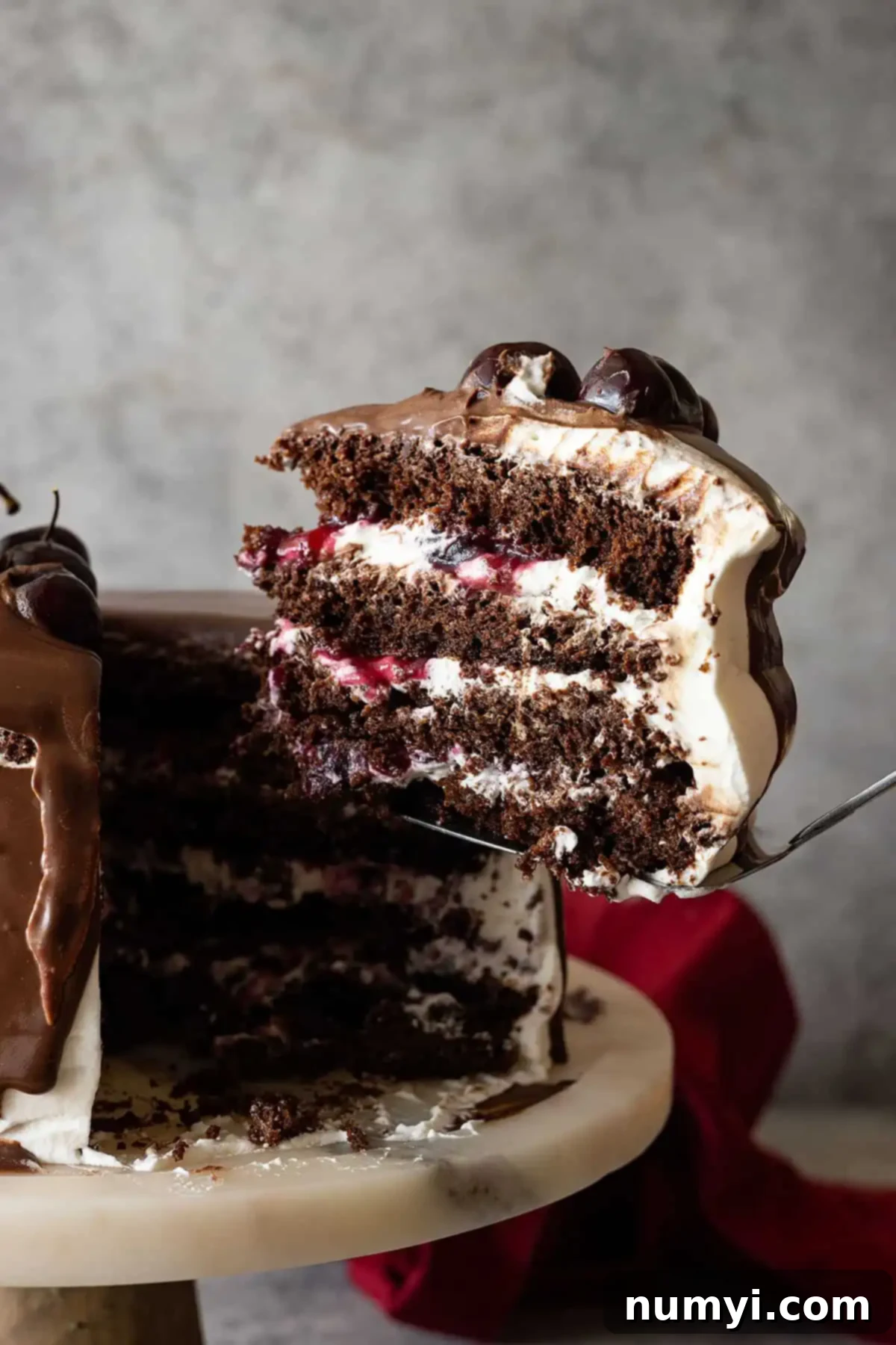 Slice of cake being taken out and ready to put on a plate. 