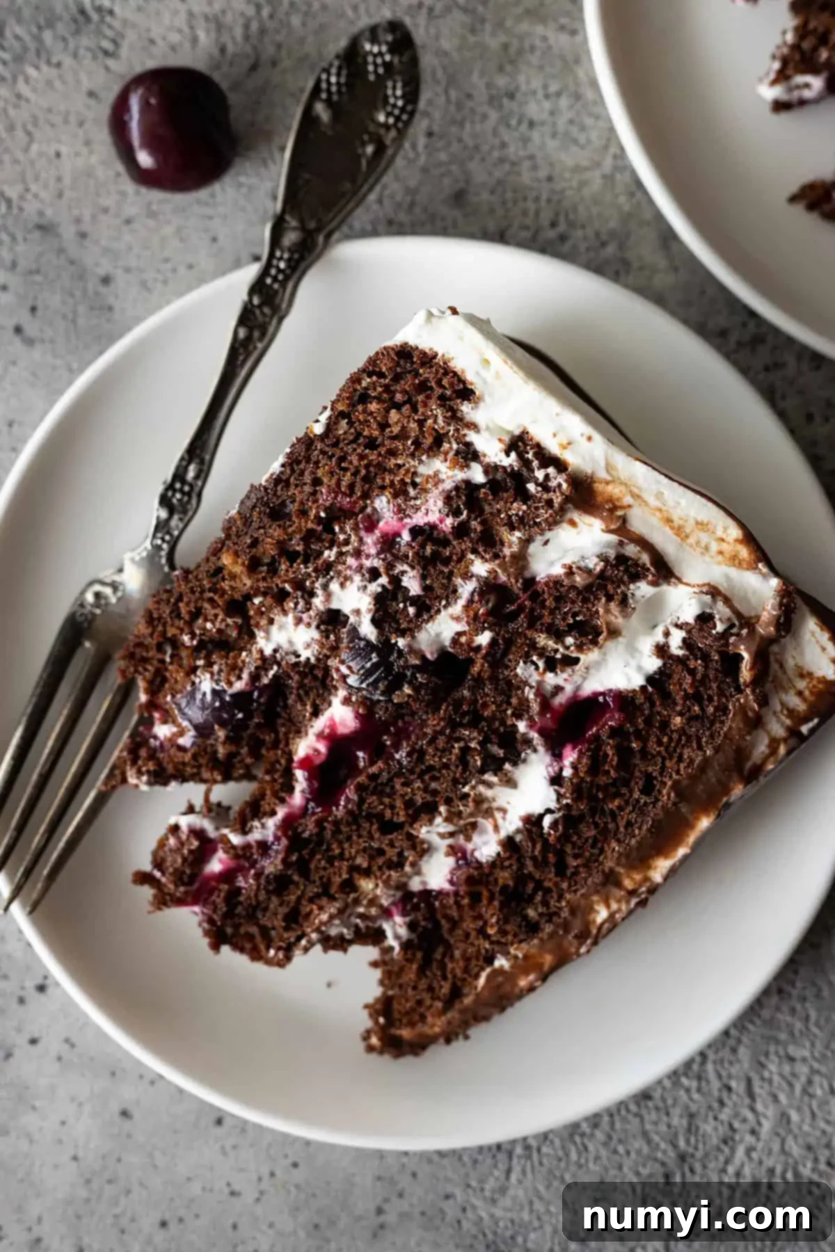 Close up of black forest cake slice on a white plate showing the filling. 