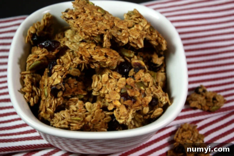 Mega Cluster Granola 3 Large Cluster Granola in a white bowl.