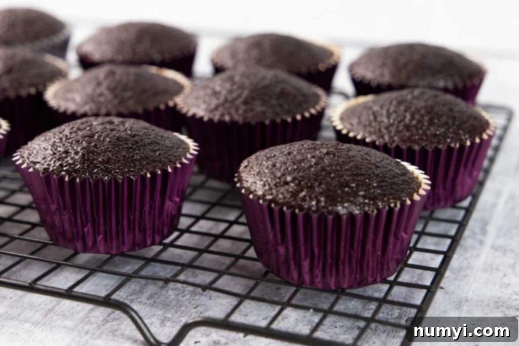 Unfrosted chocolate cupcakes arranged neatly on a wire cooling rack, allowing them to cool down before frosting.