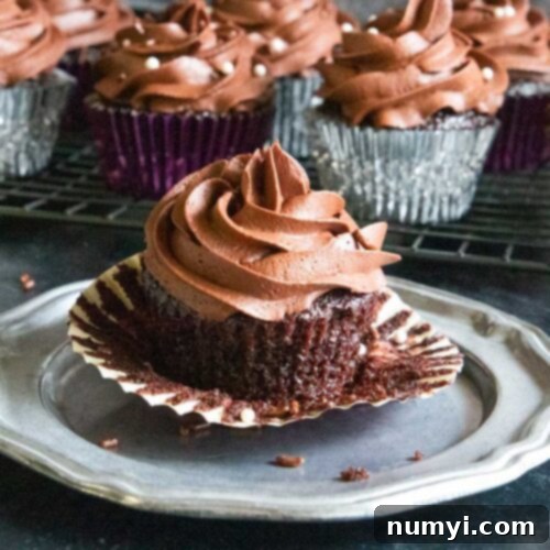 A chocolate cupcake on a pewter platter