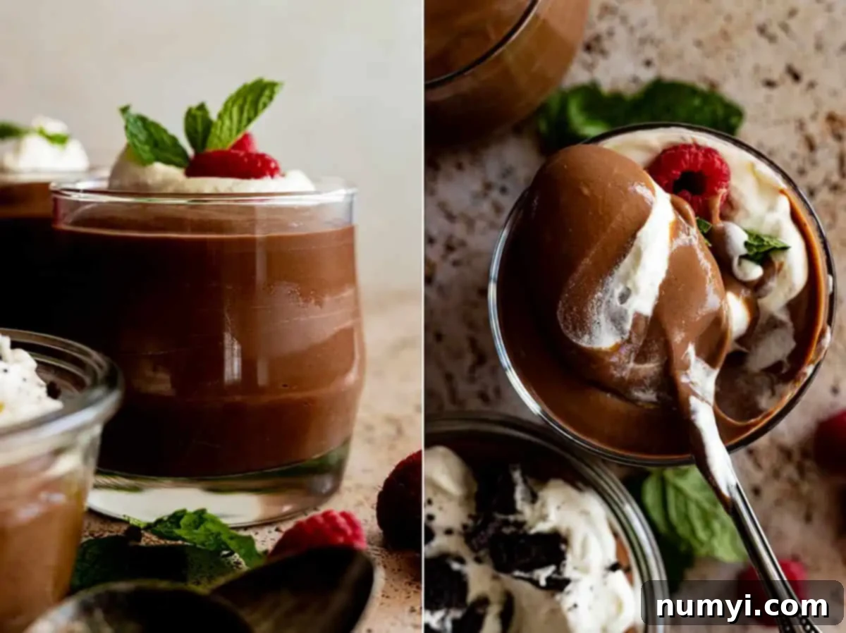 Deep Chocolate Delight 6 Two pictures: One a small bowl of pudding topped with whipped cream, mint, and a raspberry. The second and overhead view of a spoonful of pudding being pulled up from the bowl.